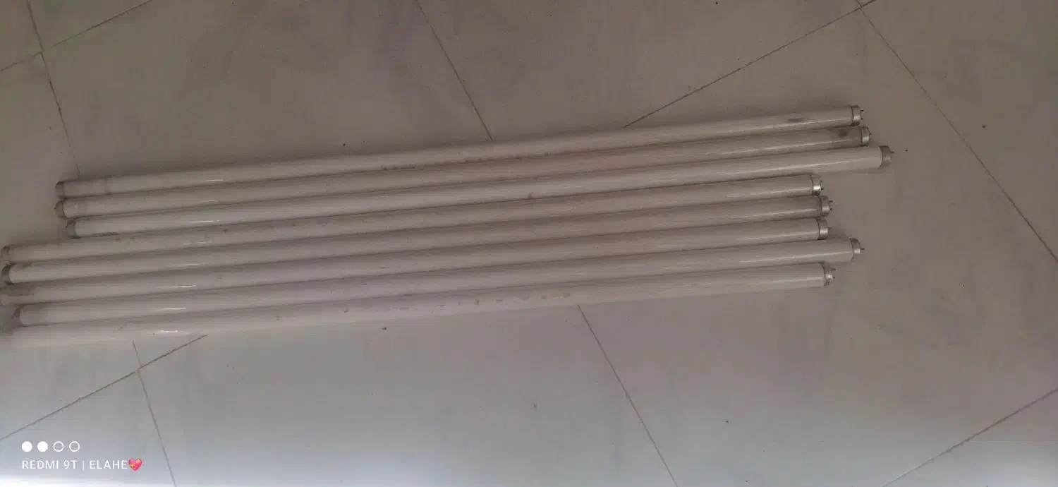 لامپ|لامپ و چراغ|سبزوار, گلشن|دیوار