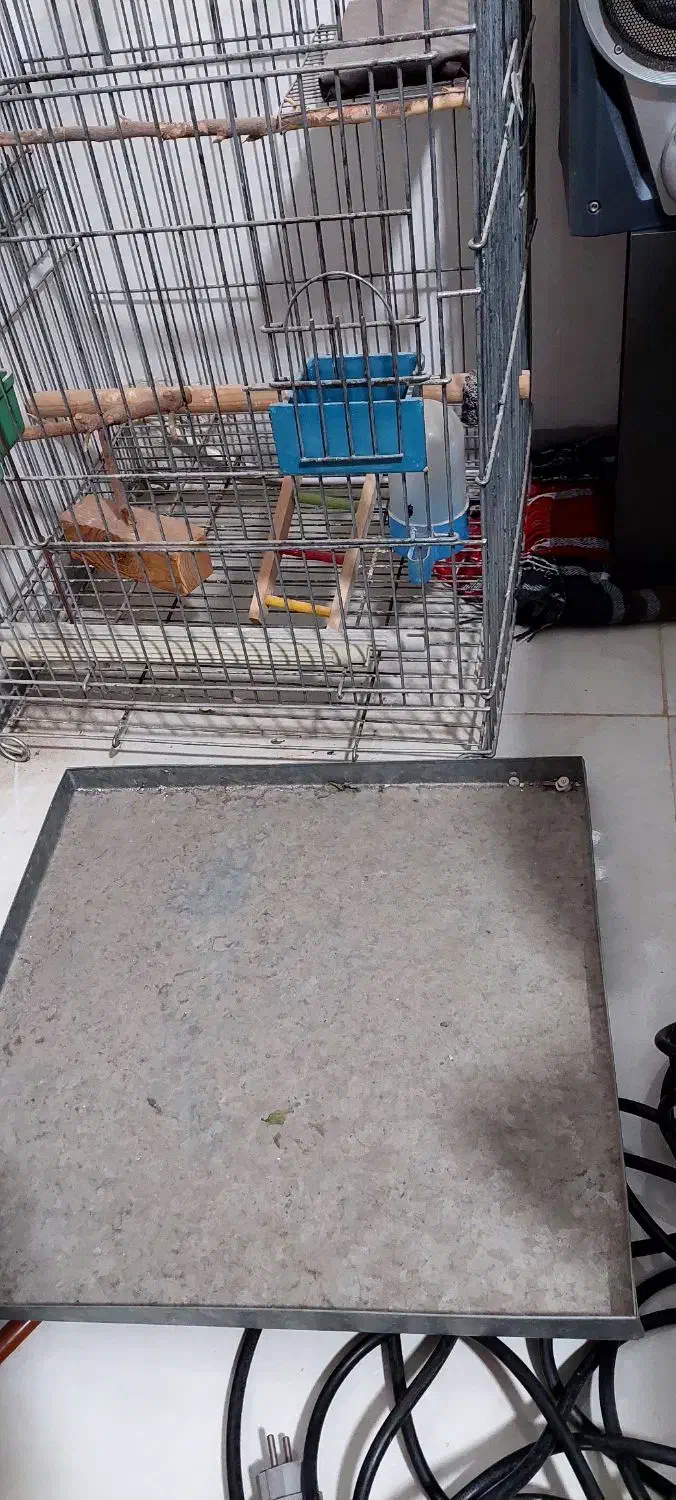 قفس بزرگ کاسکو و عروس هلندی|لوازم جانبی حیوانات|بدره, |دیوار