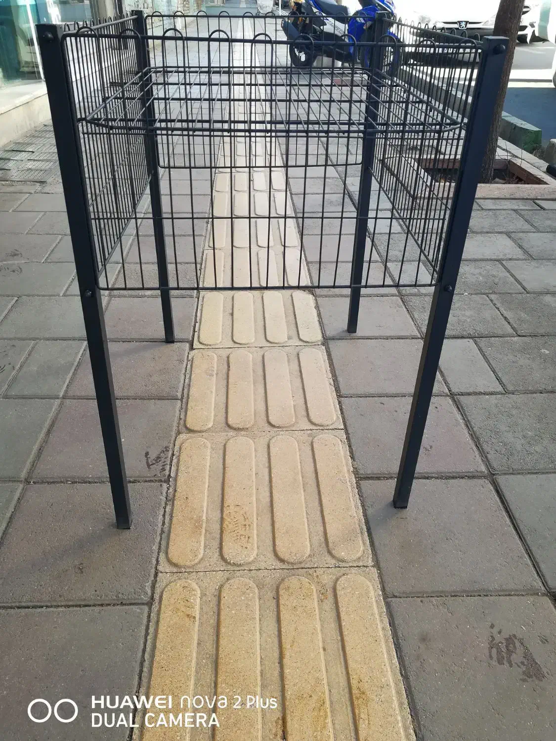 سبد حراجی|فروشگاه و مغازه|ارومیه, |دیوار