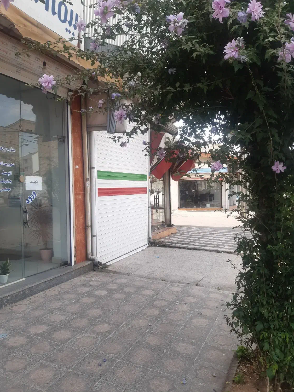 اجاره مغازه ۱۷ متری|اجارهٔ مغازه و غرفه|رشت, پاستوریزه|دیوار