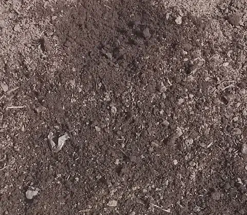 کود گاوی برای باغو با غچه|خدمات باغبانی و درختکاری|لاهیجان, لیالستان|دیوار