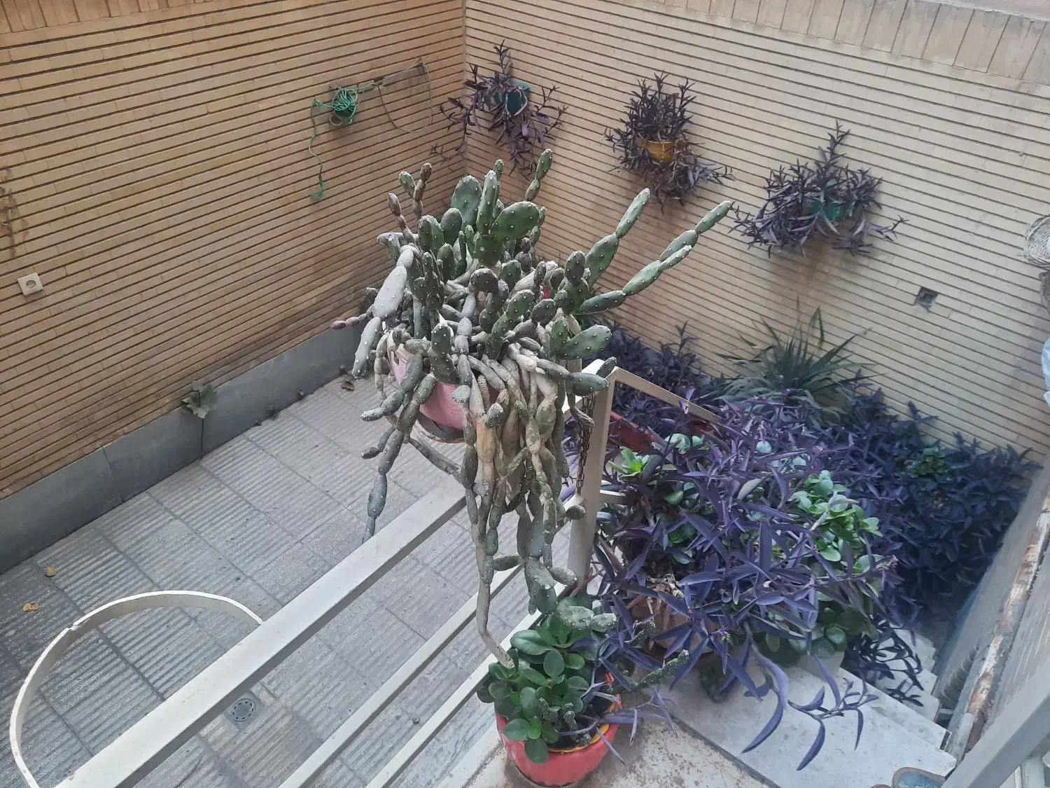 واحد ۶۱متری  شخصی ساز|فروش آپارتمان|ری, منصوریه منگل|دیوار