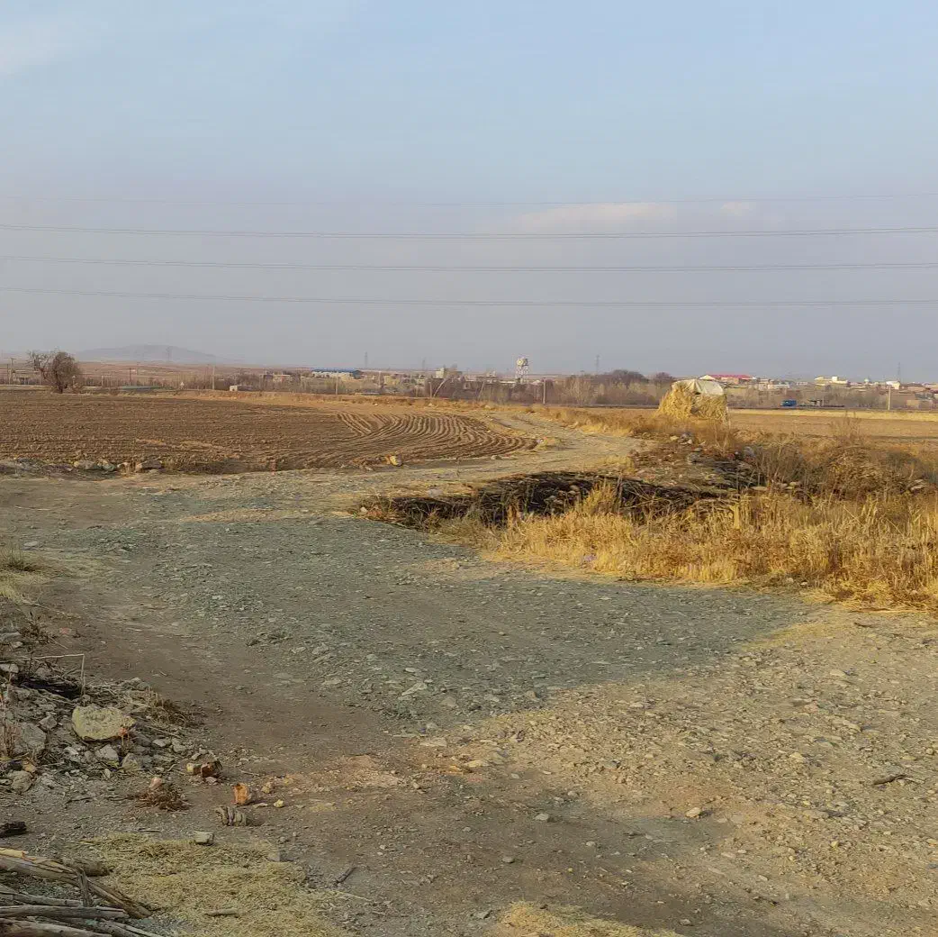 فروش زمین کشاورزی در بهادربیگ جاده سنندج|فروش زمین و ملک کلنگی|صالح آباد, |دیوار