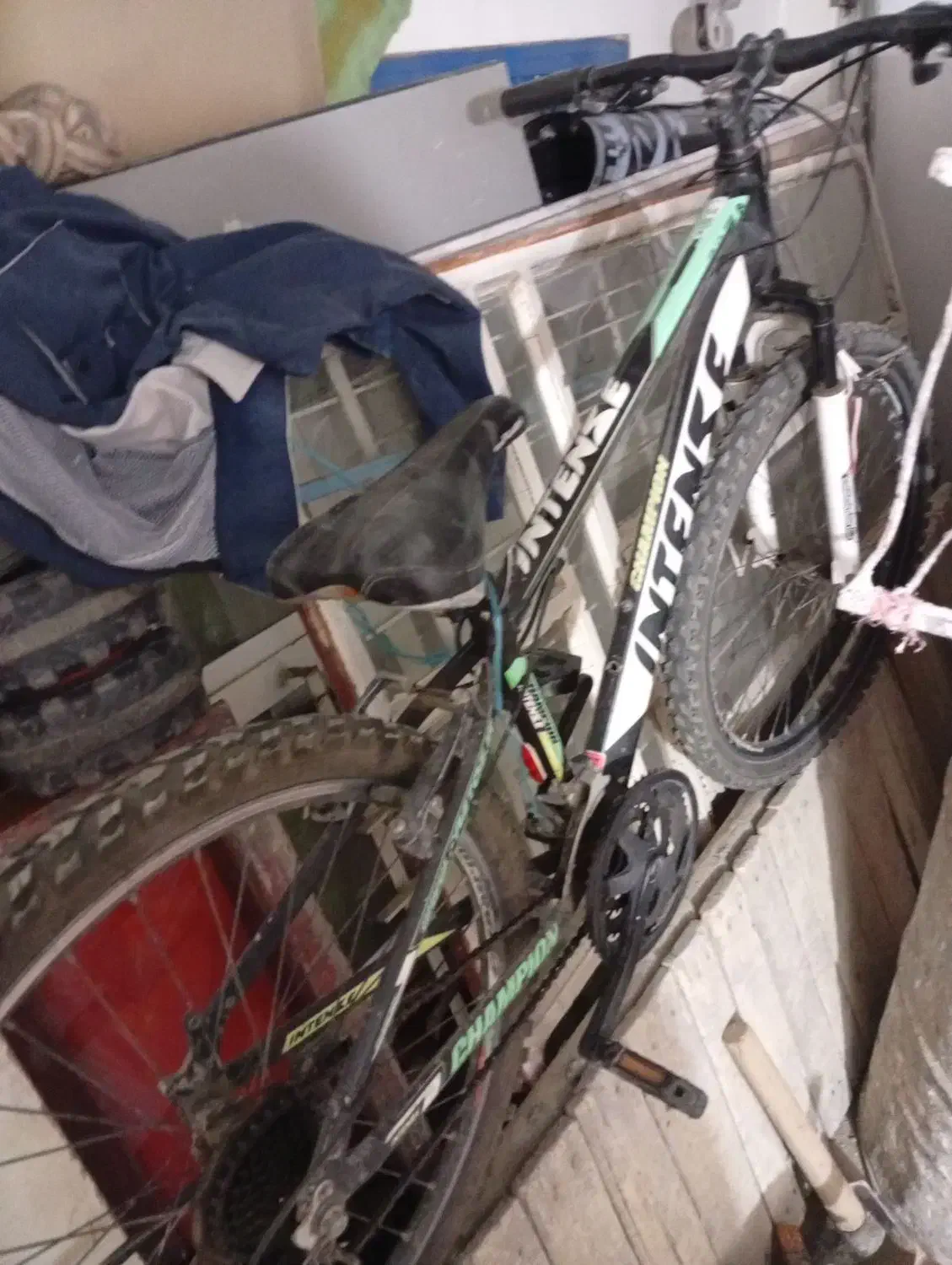 دوچرخه|دوچرخه، اسکیت، اسکوتر|مریوان, |دیوار