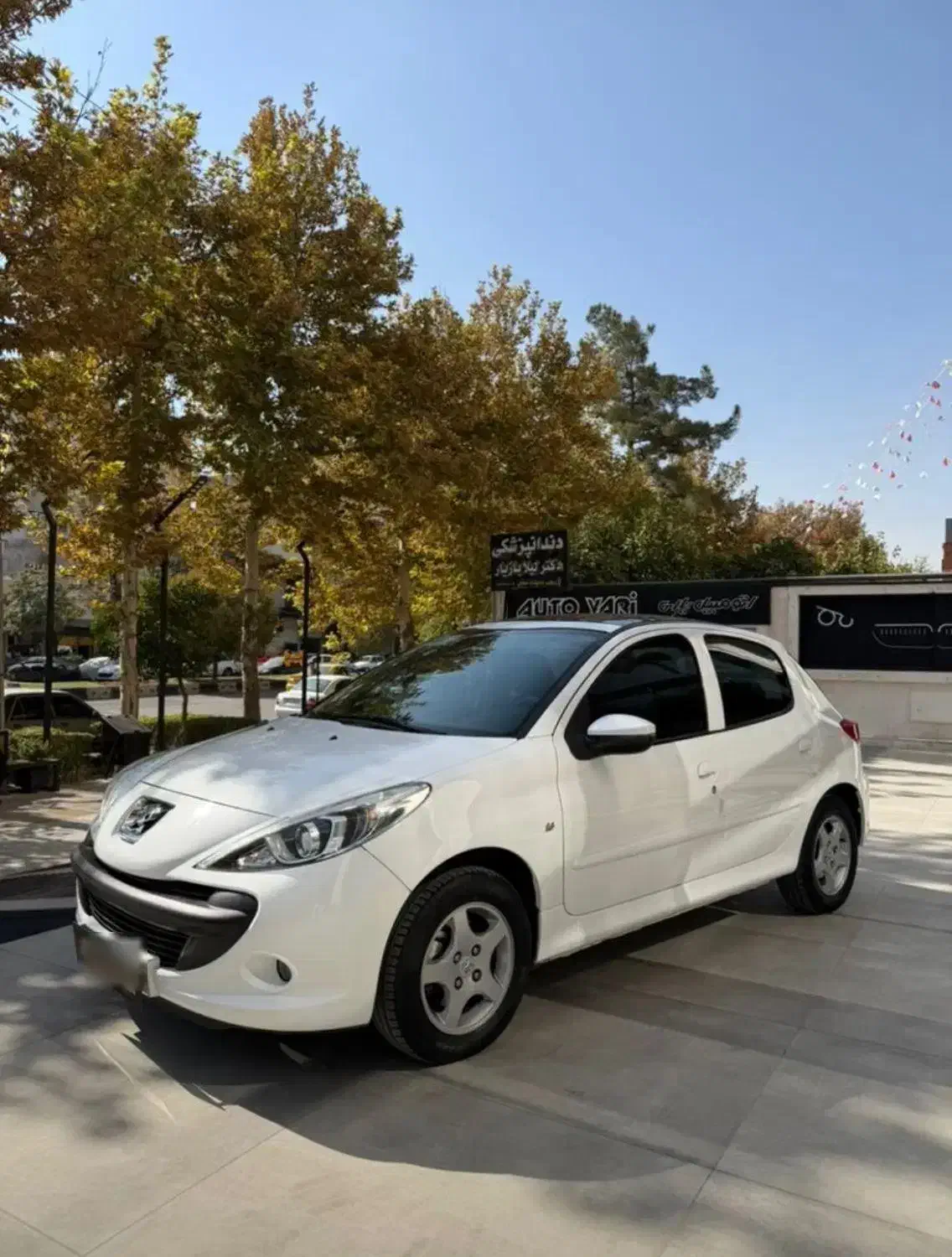 فروش ۲۰۷ صفر|خودرو سواری و وانت|شیراز, قصرالدشت|دیوار