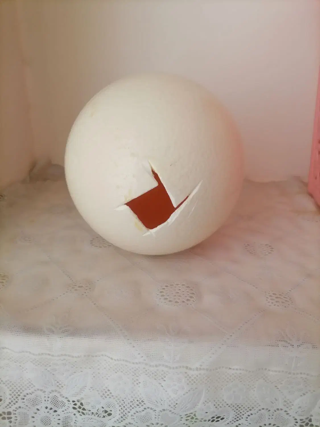 دکوری|صنایع دستی و سایر لوازم تزئینی|تربت‌حیدریه, حسنی بالا|دیوار