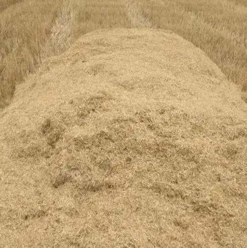 کاه کیلو 14|عمده‌فروشی|بهبهان, |دیوار