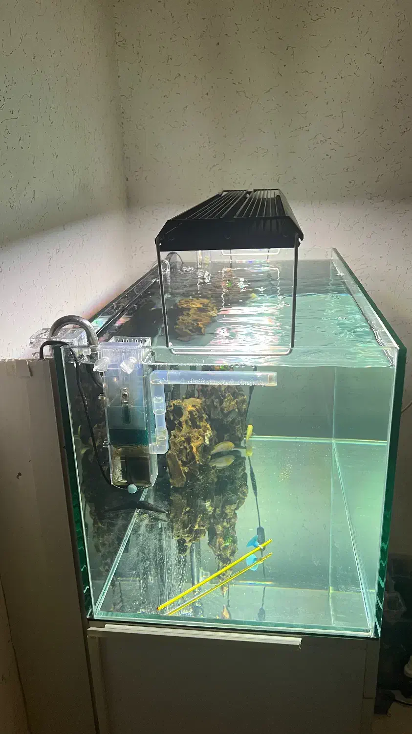 اکواریوم ریملس ۱۰ میل|ماهی|قرچک, باقرآباد|دیوار