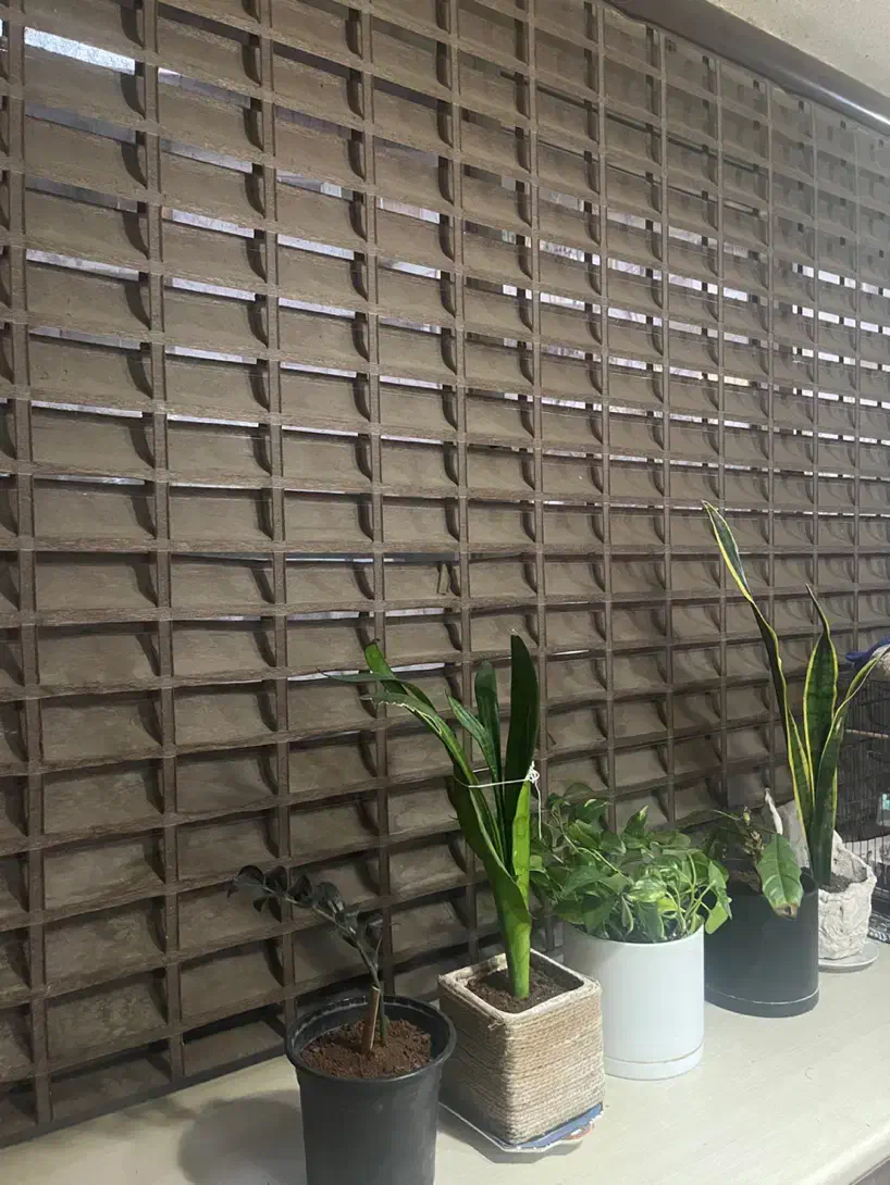 پرده|پرده، رانر، رومیزی|رشت, کاکتوس|دیوار