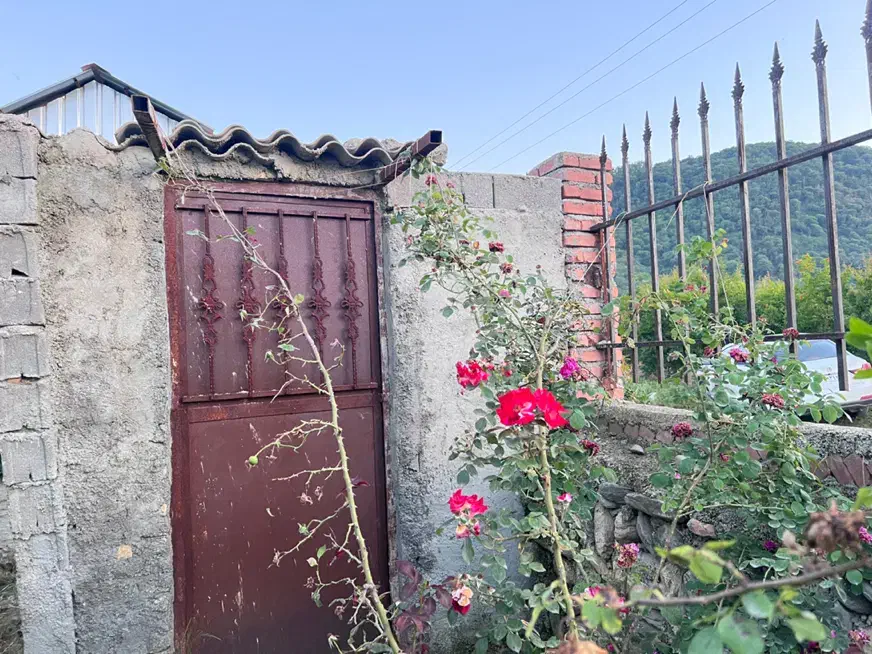 تهاتر یا فروش باغ ۱۷۰۰متری|فروش زمین و ملک کلنگی|نوکنده, |دیوار