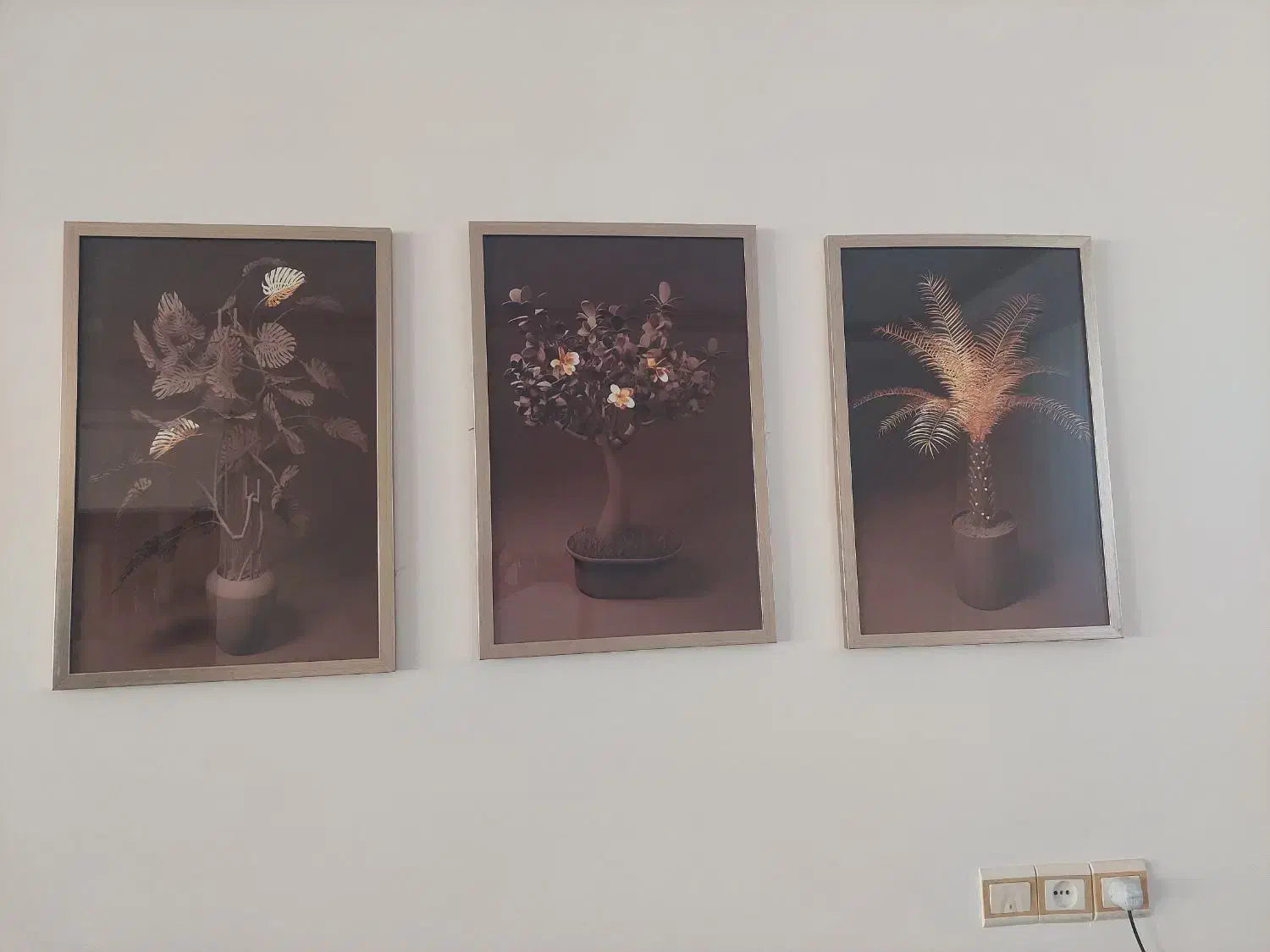 ۳عدد تابلو مدرن|تابلو، نقاشی، عکس|تربت‌حیدریه, قائم|دیوار