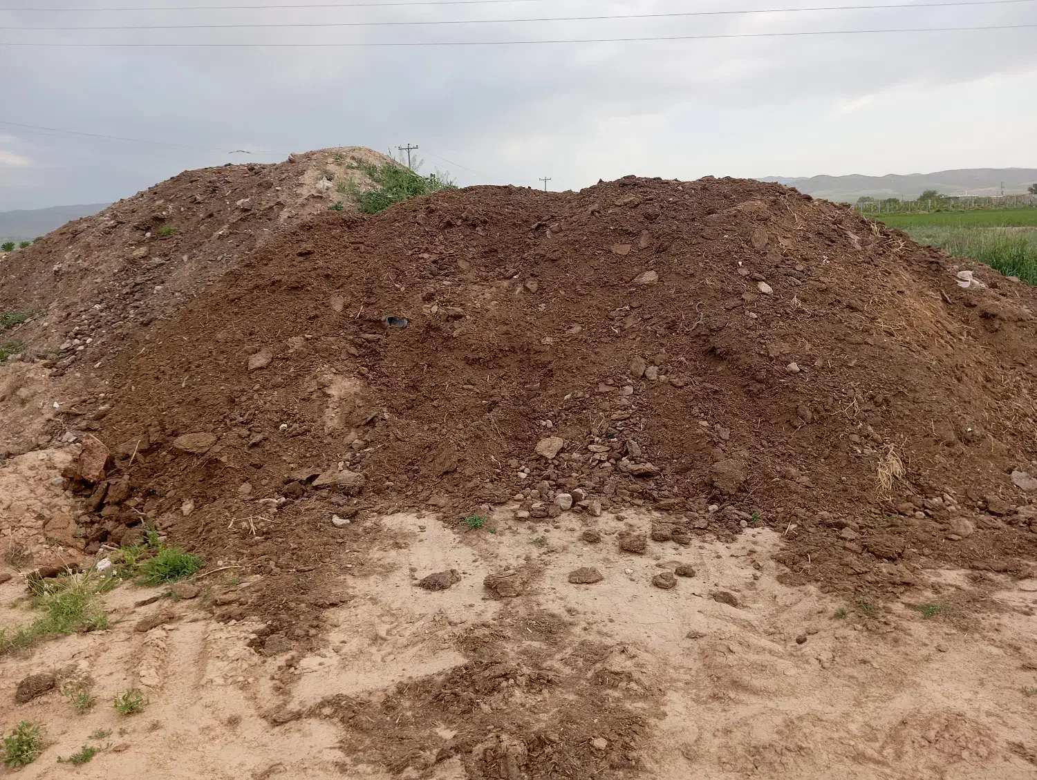 با گوسفندی وگاوی ومرغی|خدمات باغبانی و درختکاری|قوچان, |دیوار