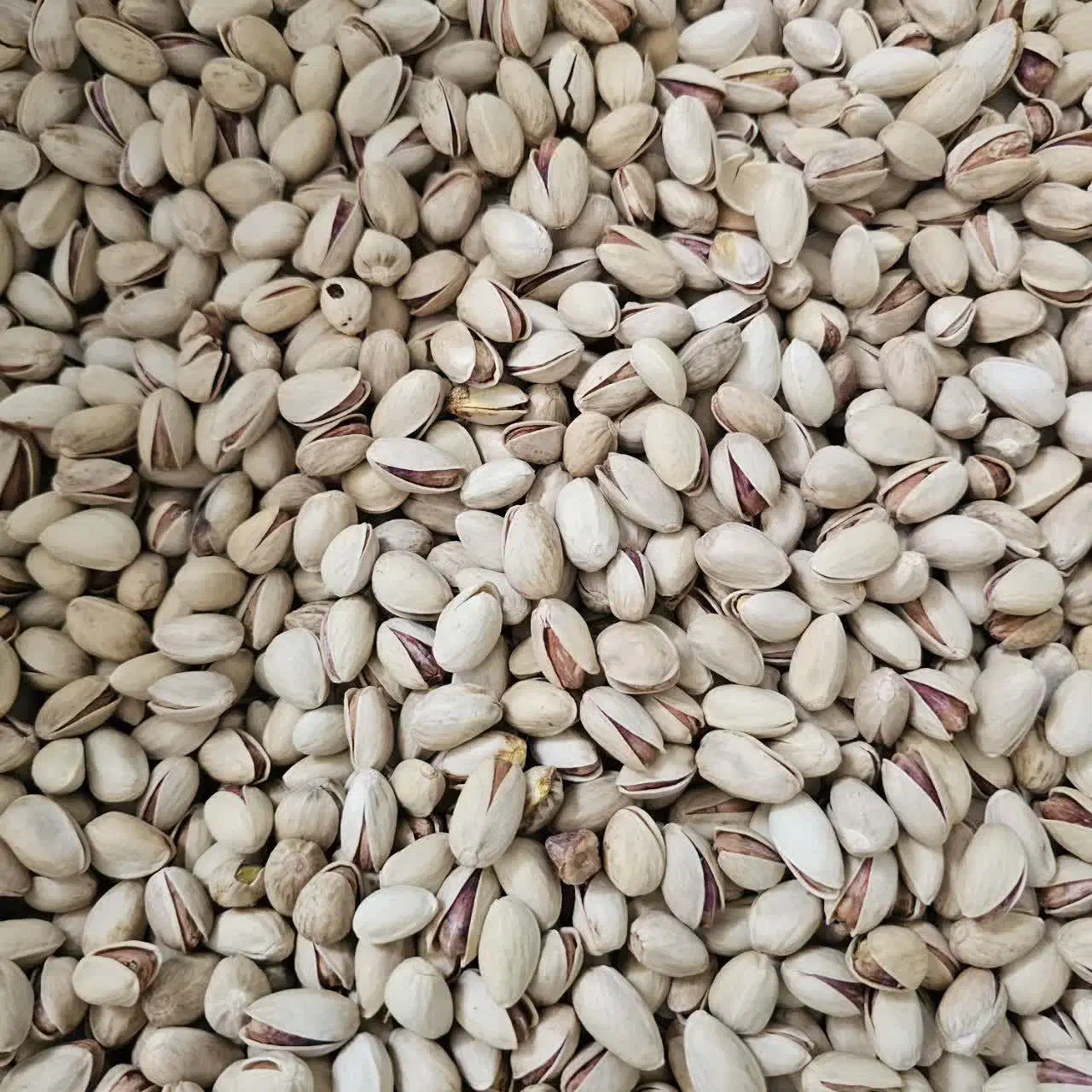 پسته و خرما کاملاً ارگانیک|عمدهفروشی|بافق, |دیوار