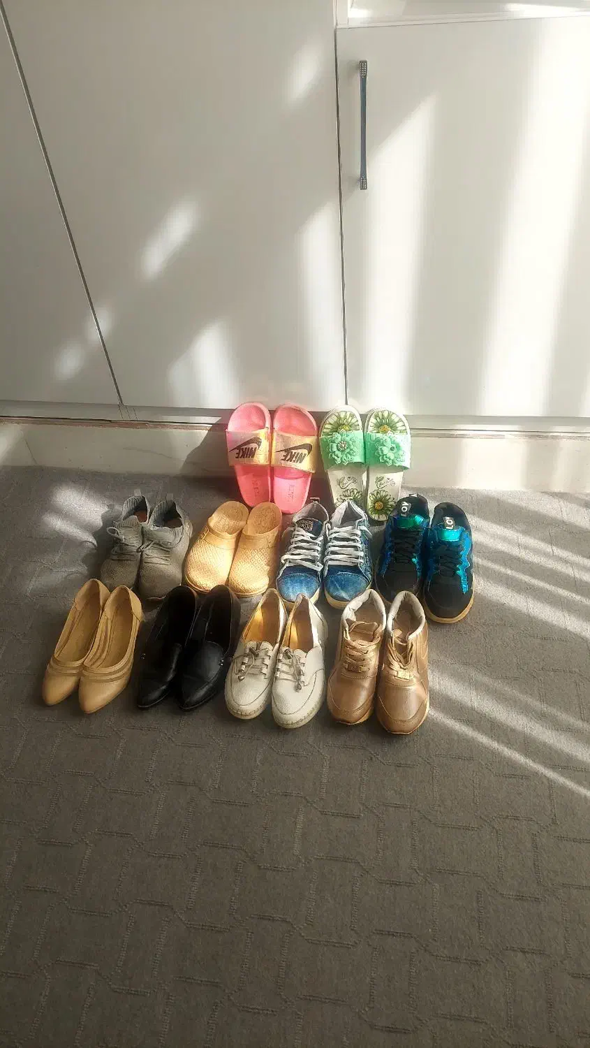 کفش درحدنو|کیف، کفش، کمربند|نیشابور, مازول|دیوار