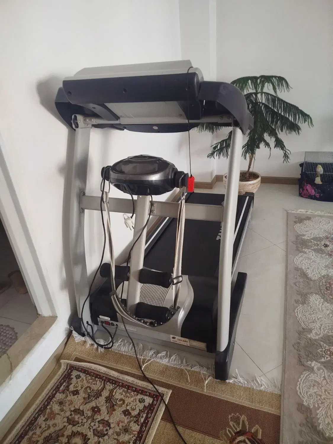 تردمیل نیمه باشگاهی|تجهیزات ورزشی|نیشابور, تختی|دیوار