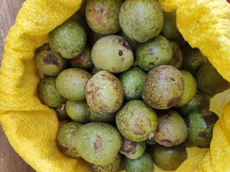 گردو|خوردنی و آشامیدنی|اسکو, |دیوار