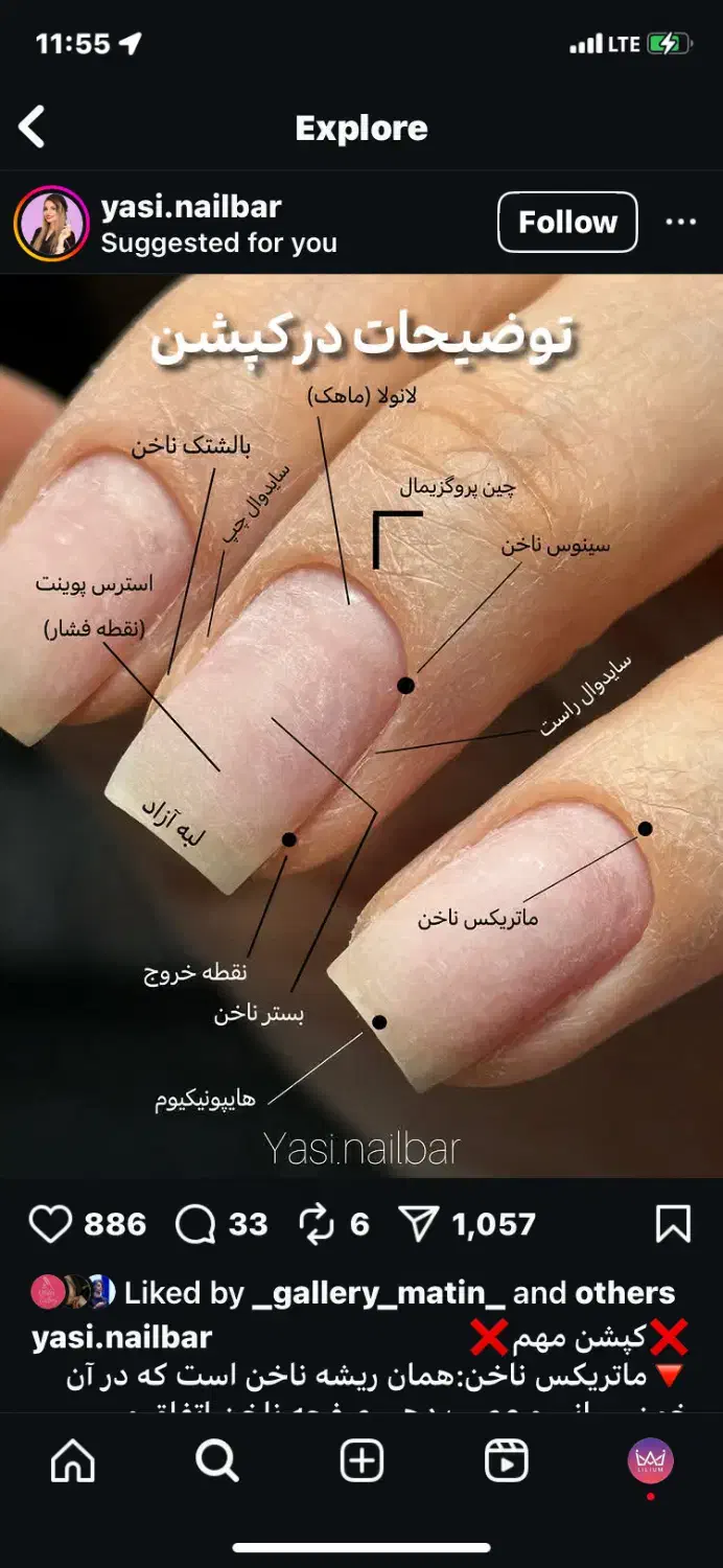 آموزش کاشت ناخن با مدرک فنی حرفه ای|خدمات آموزشی|فردیس, فردیس|دیوار