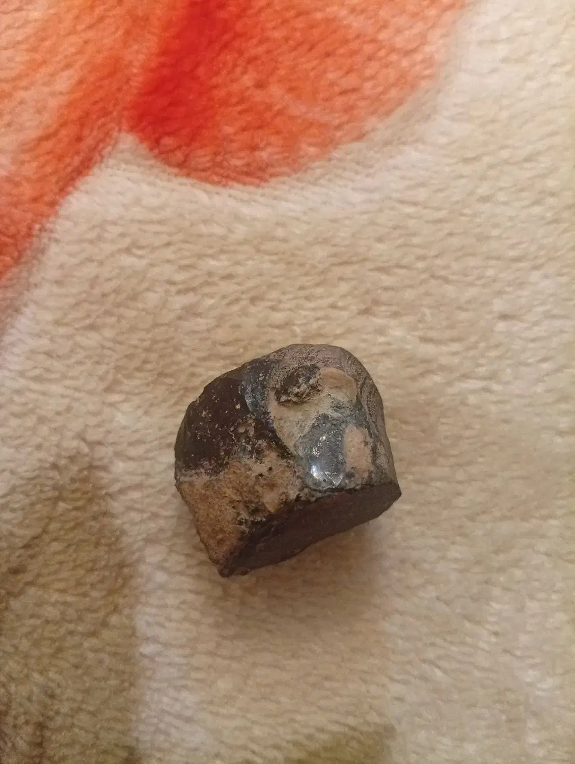 یک‌عدد‌شهاب‌سنگ‌|کلکسیون اشیاء عتیقه|صحنه, |دیوار