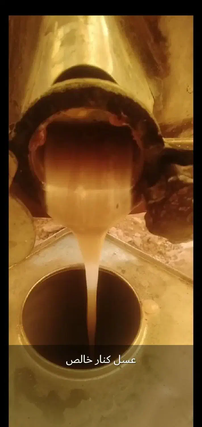 عسل کنار خالص|خوردنی و آشامیدنی|میمند, |دیوار