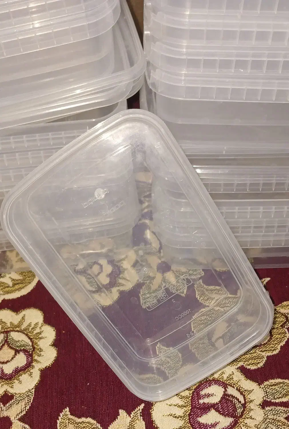 ظرف پلاسکو|ظروف نگهدارنده، پلاستیکی، یک‌بارمصرف|اهواز, اسلام آباد غربی|دیوار