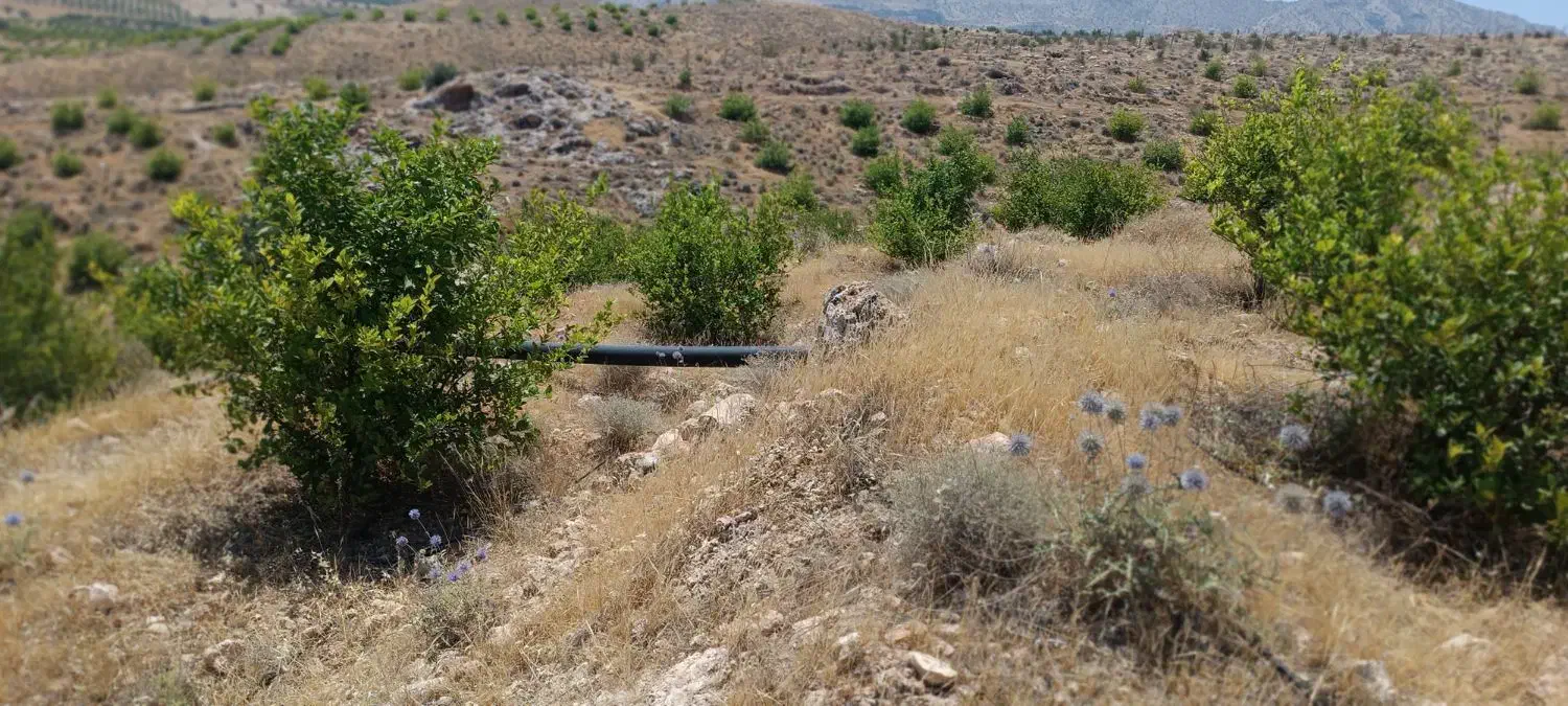 چرام باغ شمسوا ،شمس آباد فقط 500 تخفیف خوبی داره|فروش زمین و ملک کلنگی|چرام, |دیوار