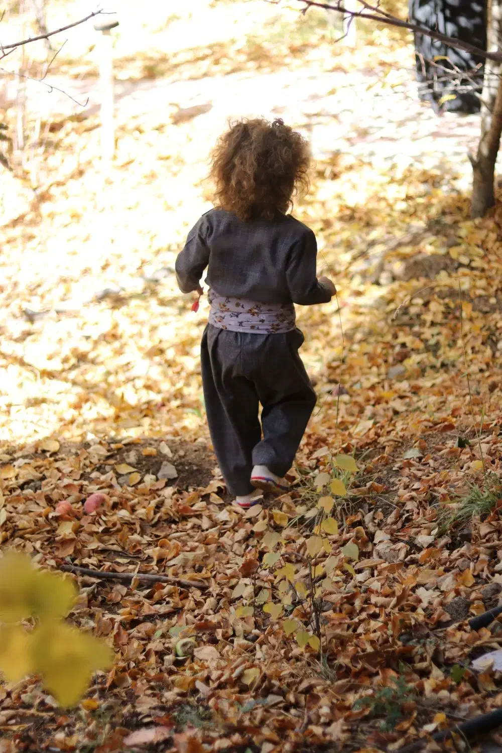 عکاسی نوژین هزار رنگ|خدمات پذیرایی، مراسم|سنندج, |دیوار