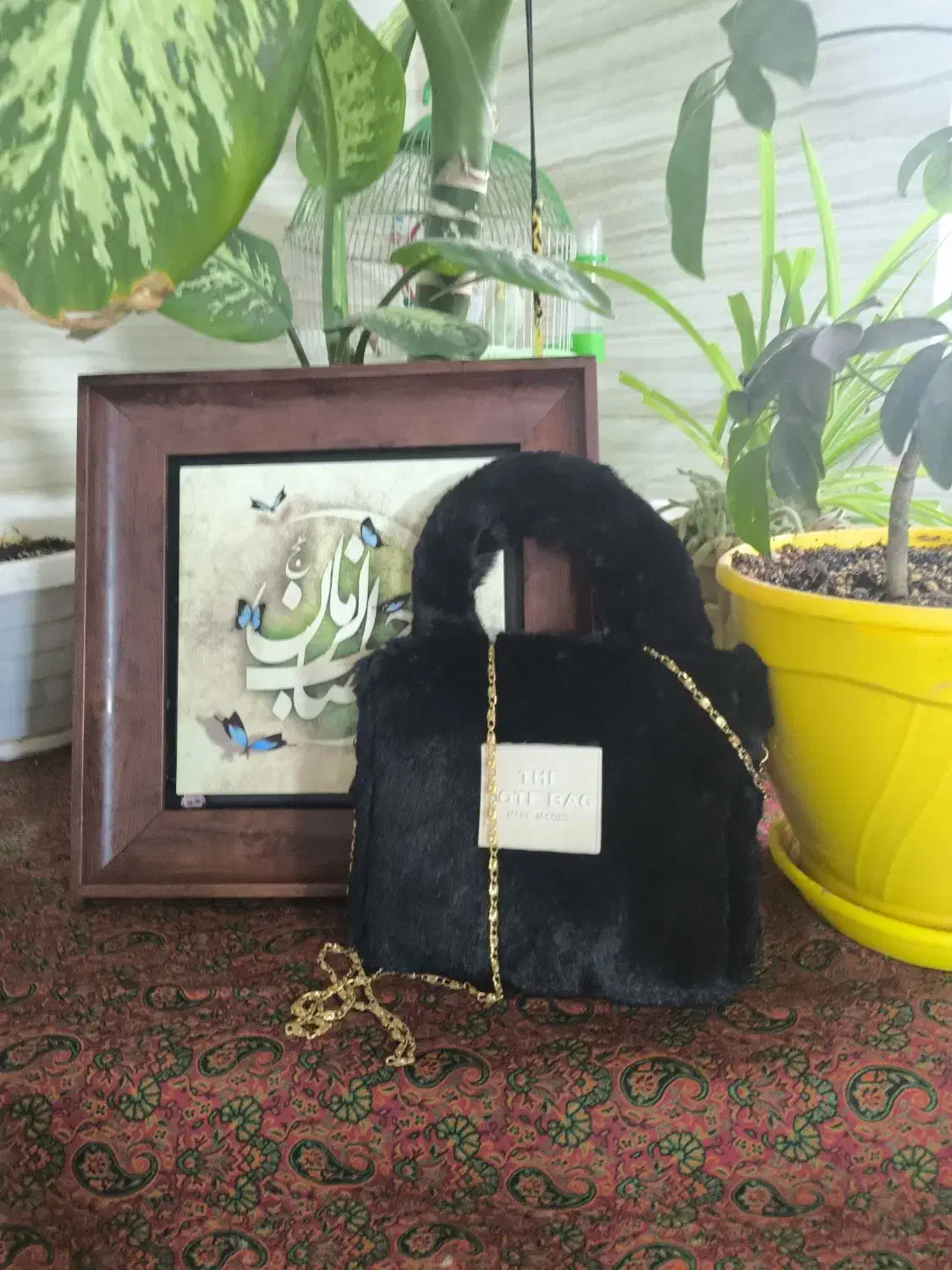 کیف مجلسی نونو|کیف، کفش، کمربند|قم, باغ کرباسی|دیوار