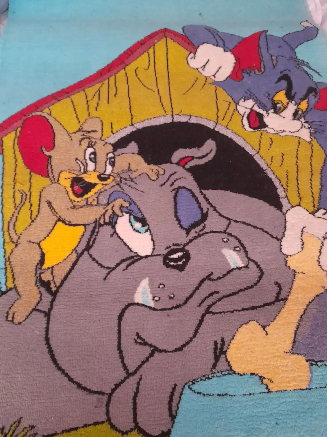 فرش کودک|فرش|ارومیه, |دیوار