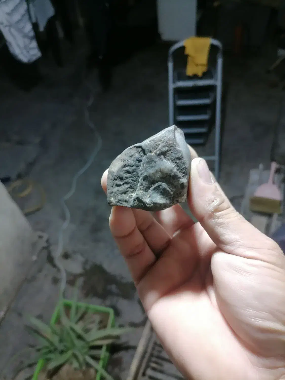 عتیقه کلکسونی|جواهرات|گنبد کاووس, |دیوار