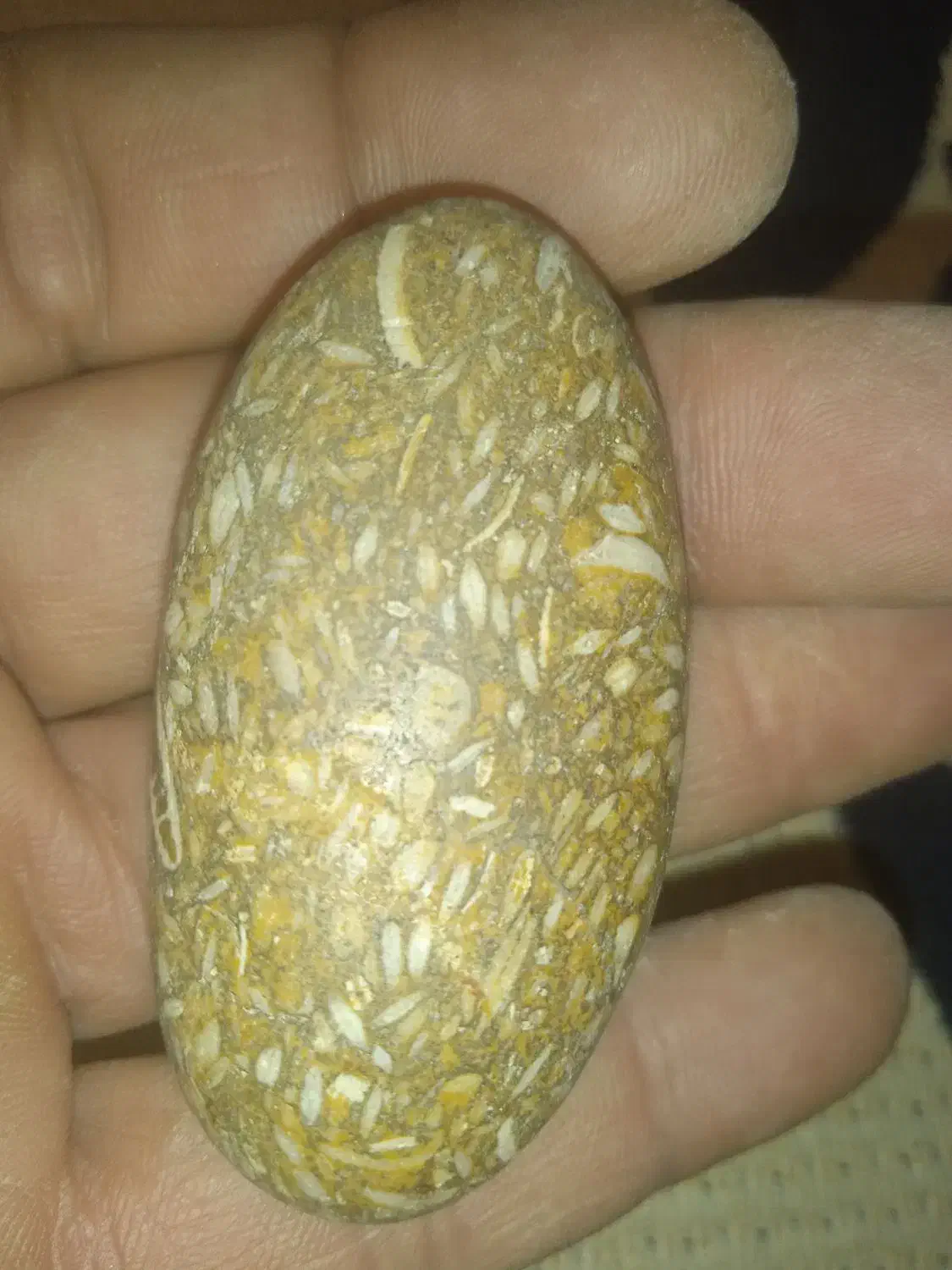 کسی هست بگه اینها چه سنگهای هستند|کلکسیون اشیاء عتیقه|شیراز, حومه شیراز|دیوار