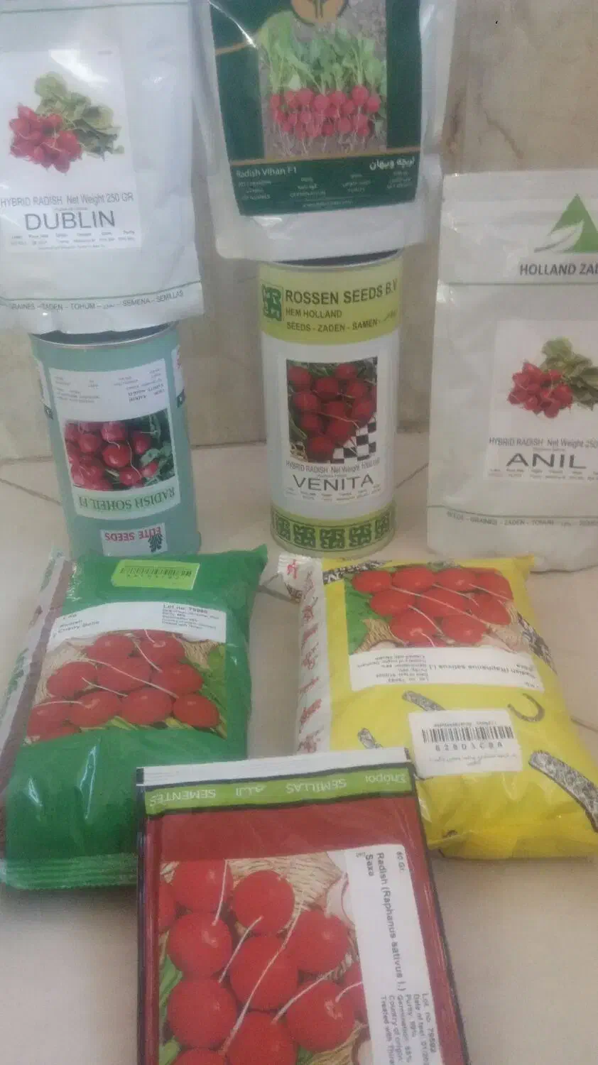 بذرتربچه گلخانه وفضای باز وانواع سبزیجات|خدمات باغبانی و درختکاری|نیشابور, شهید بهشتی|دیوار