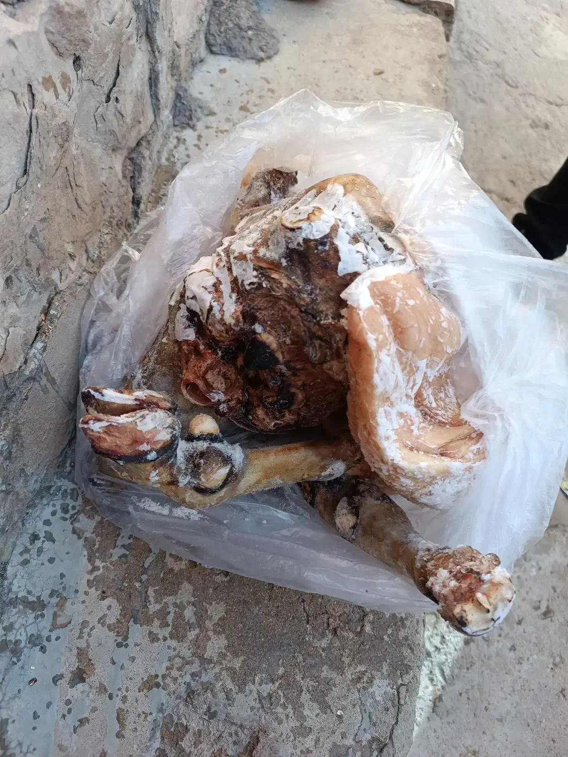 کله پاچه|حیوانات مزرعه|مسجد سلیمان, |دیوار