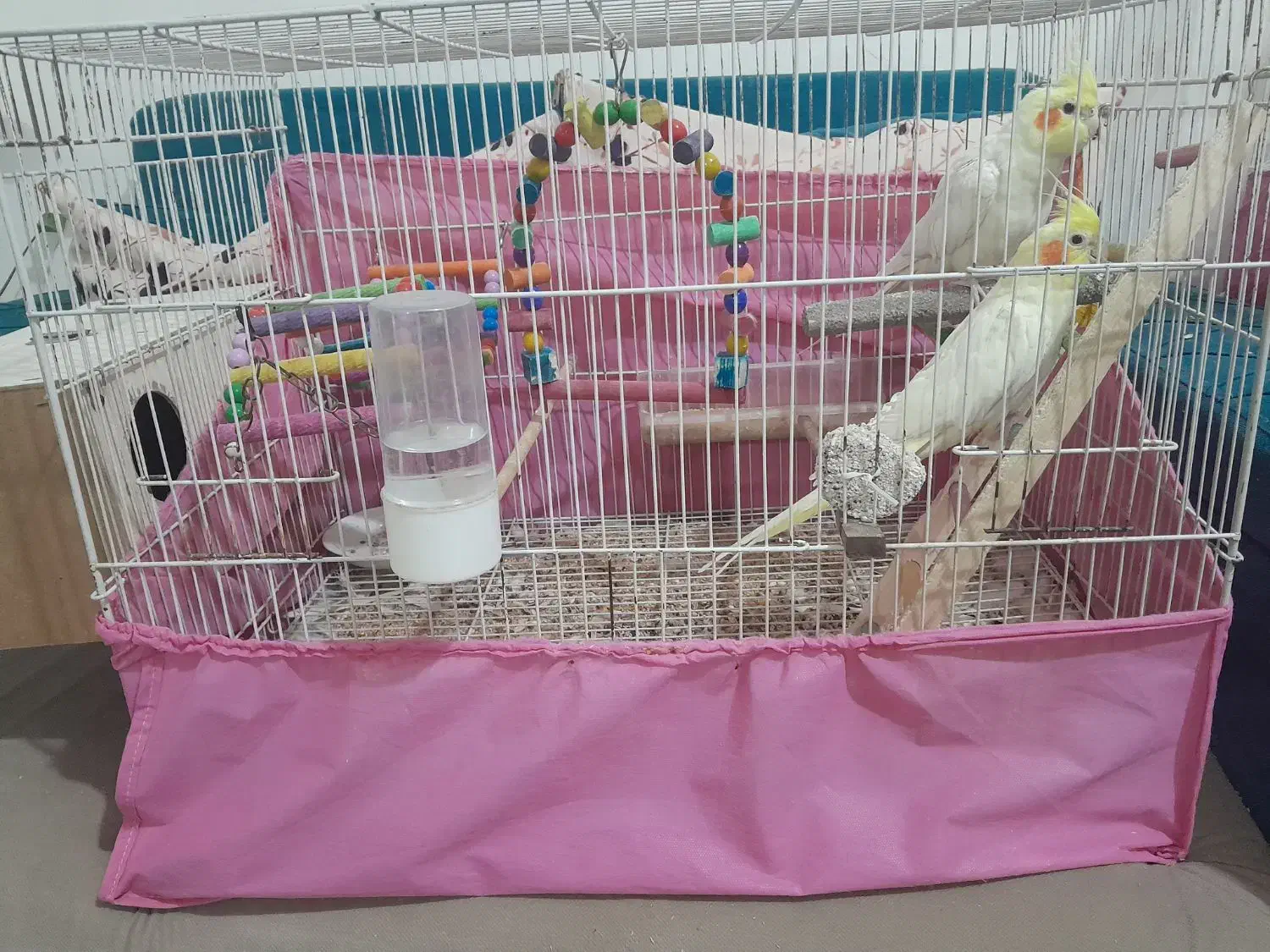 اسباب بازی|اسباب‌‌بازی|مشهد, نوید|دیوار