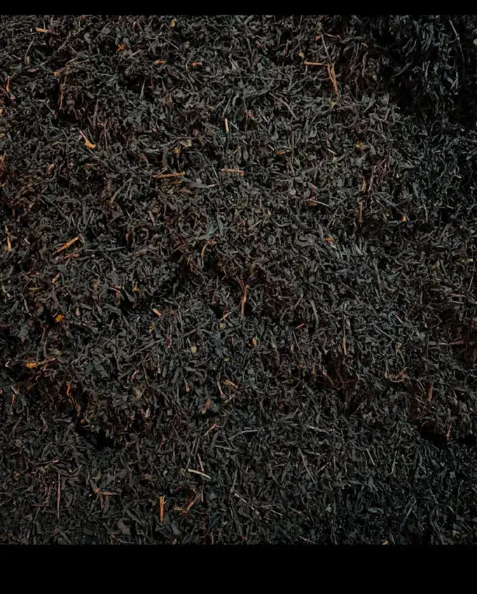 چای بهاره اعلا صد درصد طبیعی|خوردنی و آشامیدنی|چابکسر, |دیوار