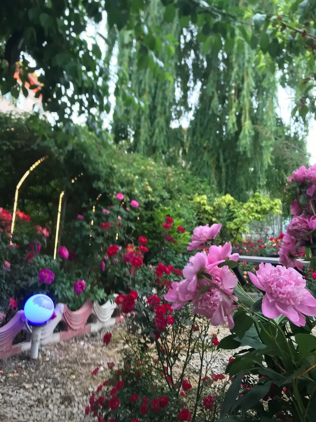 فروش باغ رستوران|فروش مغازه و غرفه|نمین, |دیوار