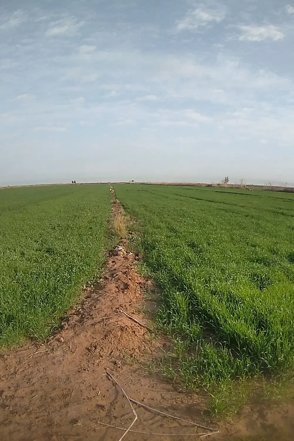 روستایه دهلیز ۲|فروش زمین و ملک کلنگی|حمیدیه, |دیوار