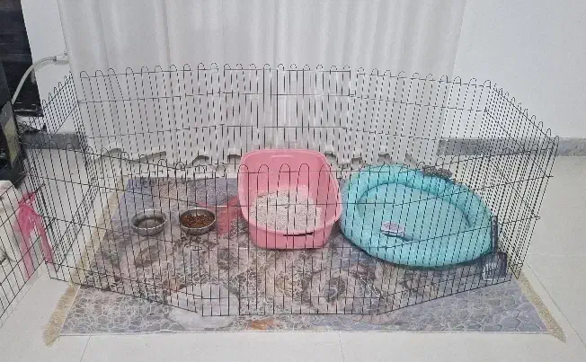 قفس سگ و خرگوش|لوازم جانبی حیوانات|مرودشت, ابوذر جنوبی|دیوار