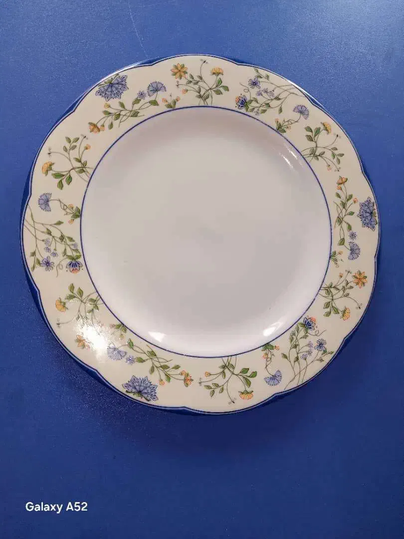 پلو خوری چینی آرکوپال استکان سوگا میوه خوری چینی|ظروف سرو و پذیرایی|تهران, نیلوفر|دیوار