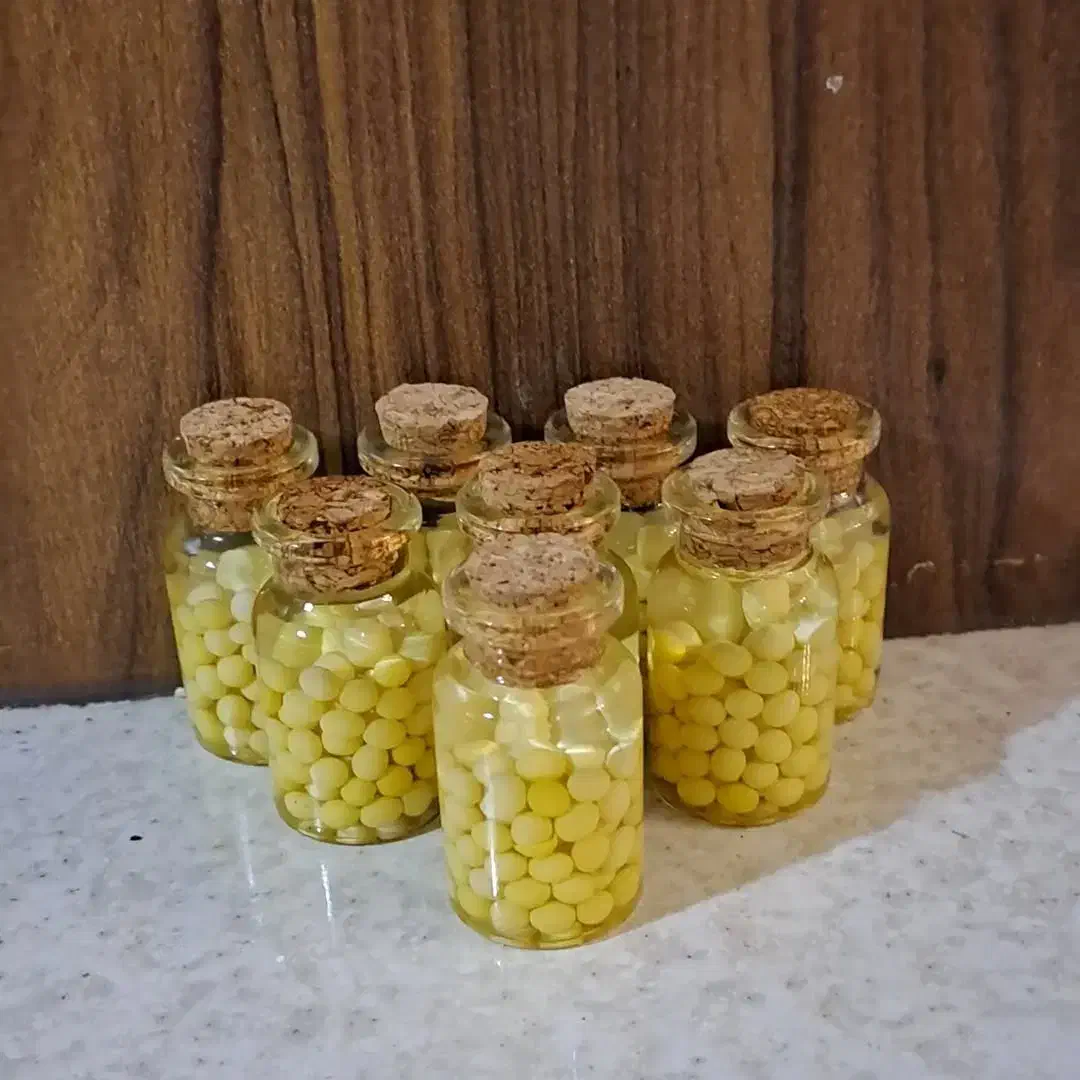 تخم حلزون تازه|خزنده|پرند, فاز ۵|دیوار