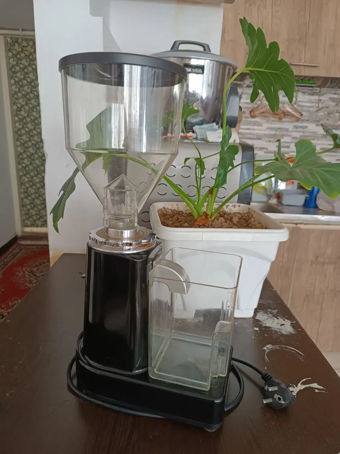 آسیاب قهوه|خردکن، آسیاب، غذاساز|سمیرم, |دیوار