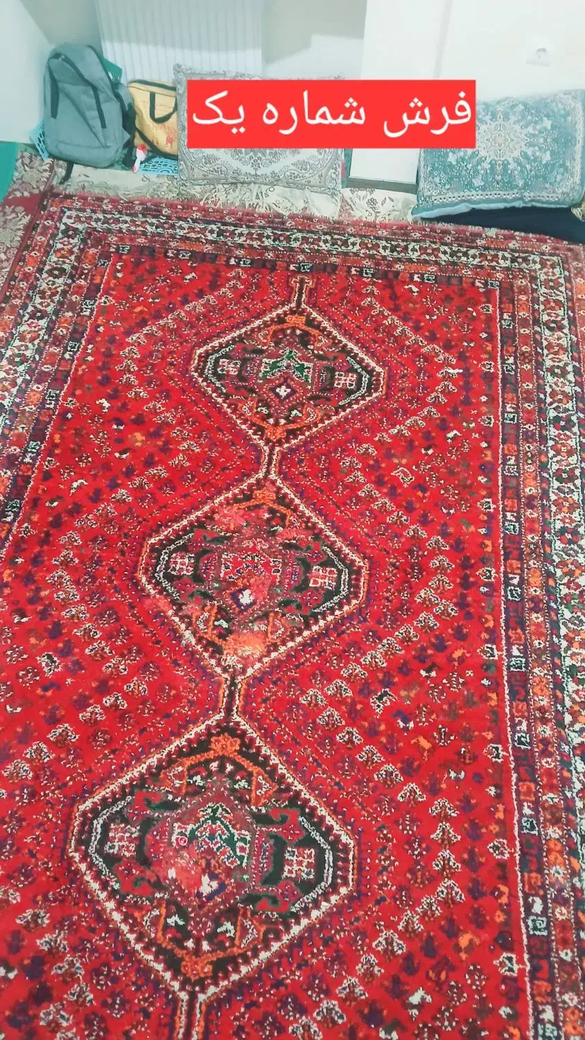 دو عدد فرش دستباف ۶ متری|فرش|شیراز, دانشگاه شیراز|دیوار