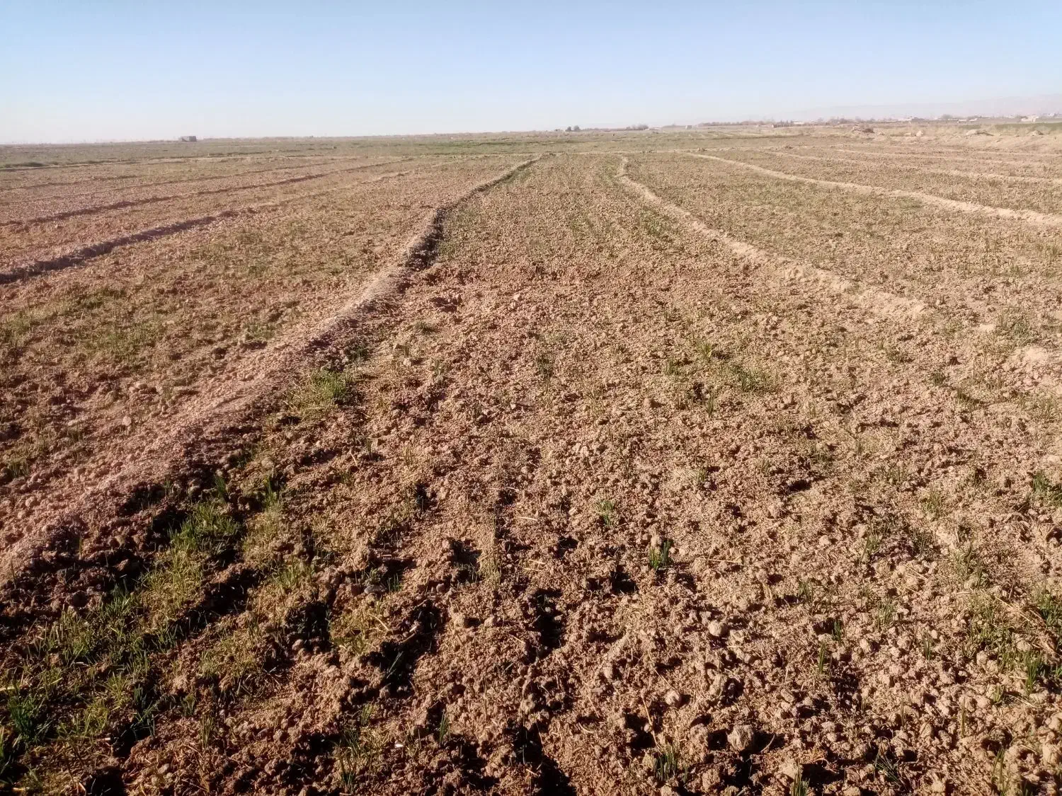 زمین باغ کلاکوب 1000 متری و500|فروش زمین و ملک کلنگی|مشهد, کلاکوب|دیوار