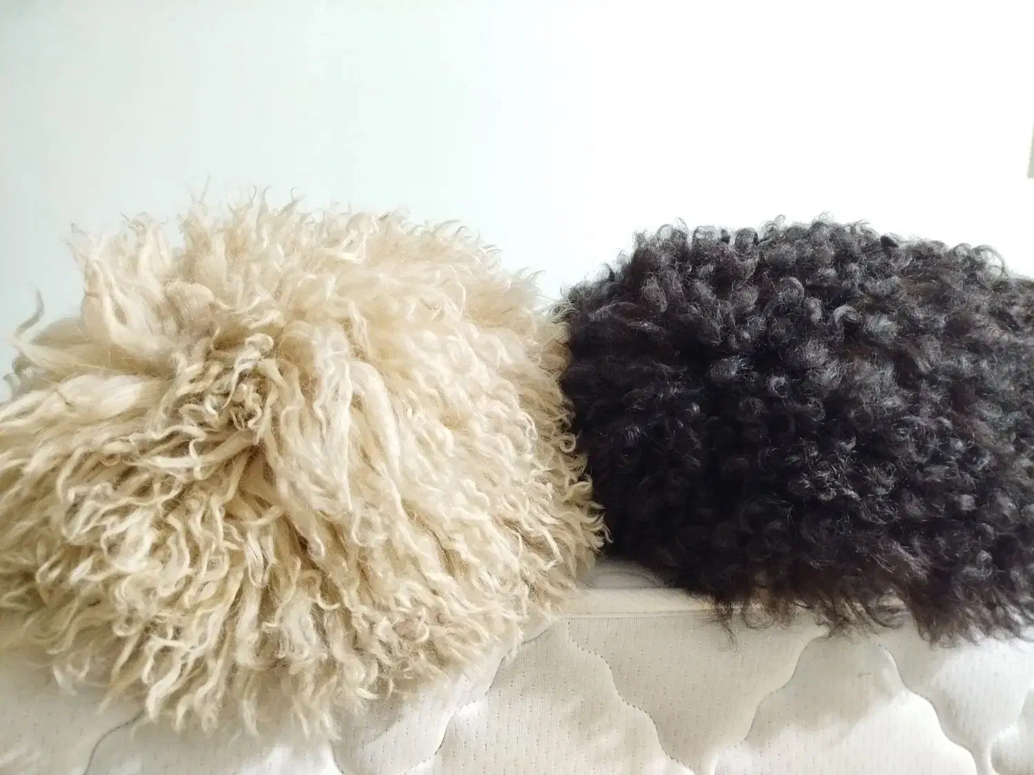 تلپک نو|لباس|گنبد کاووس, |دیوار