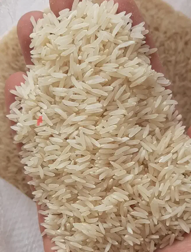 برنج فجر سوزنی خوش عطر و پخت|خوردنی و آشامیدنی|گرگان, |دیوار