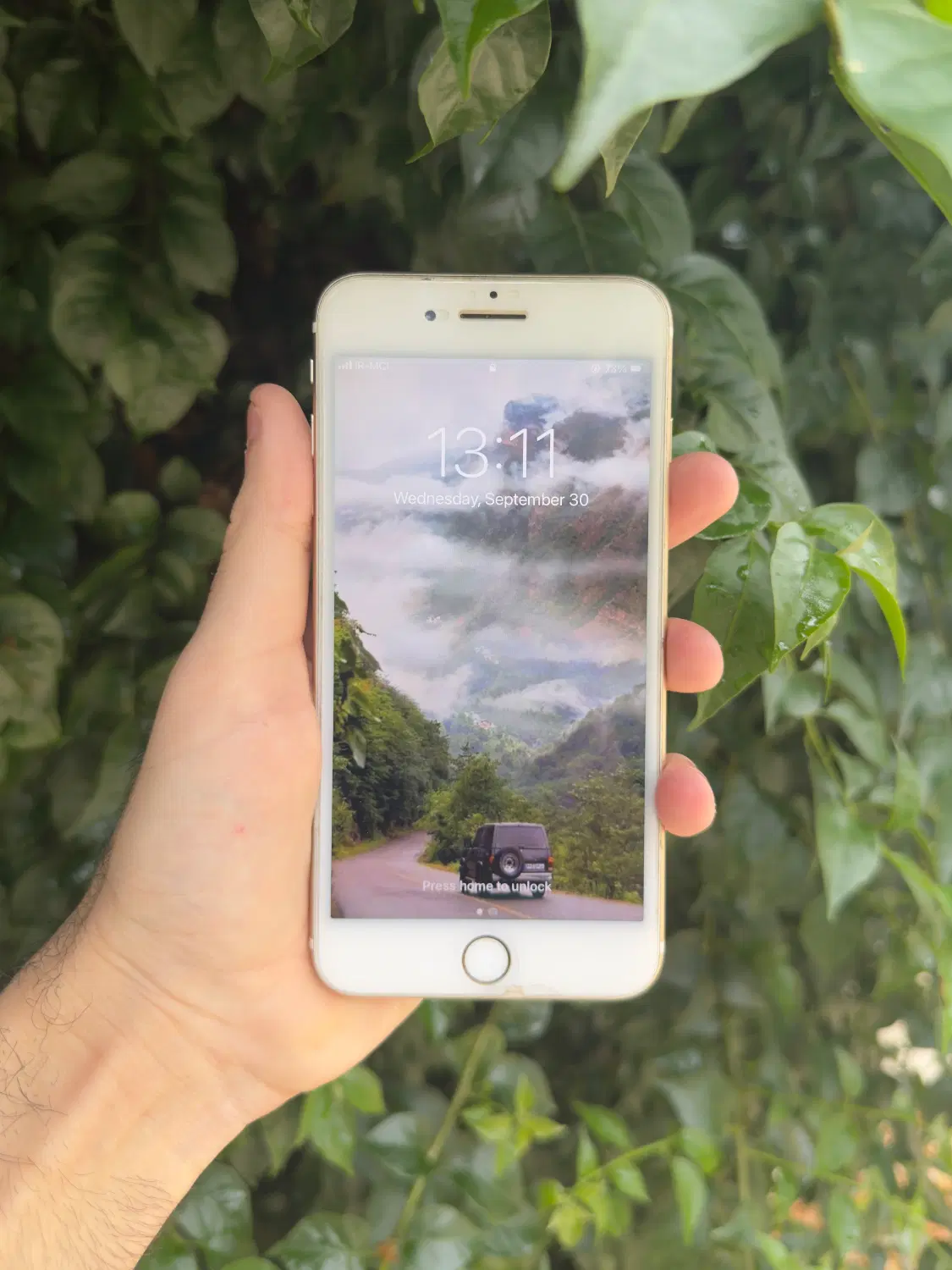 iPhone 7 plus|موبایل|نکا, |دیوار