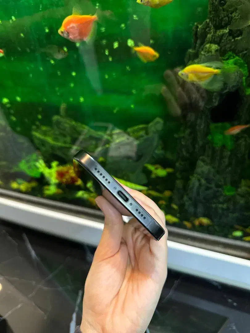 ۱۶ پرومکس ۲۵۶ zaa|موبایل|تهران, امامت|دیوار