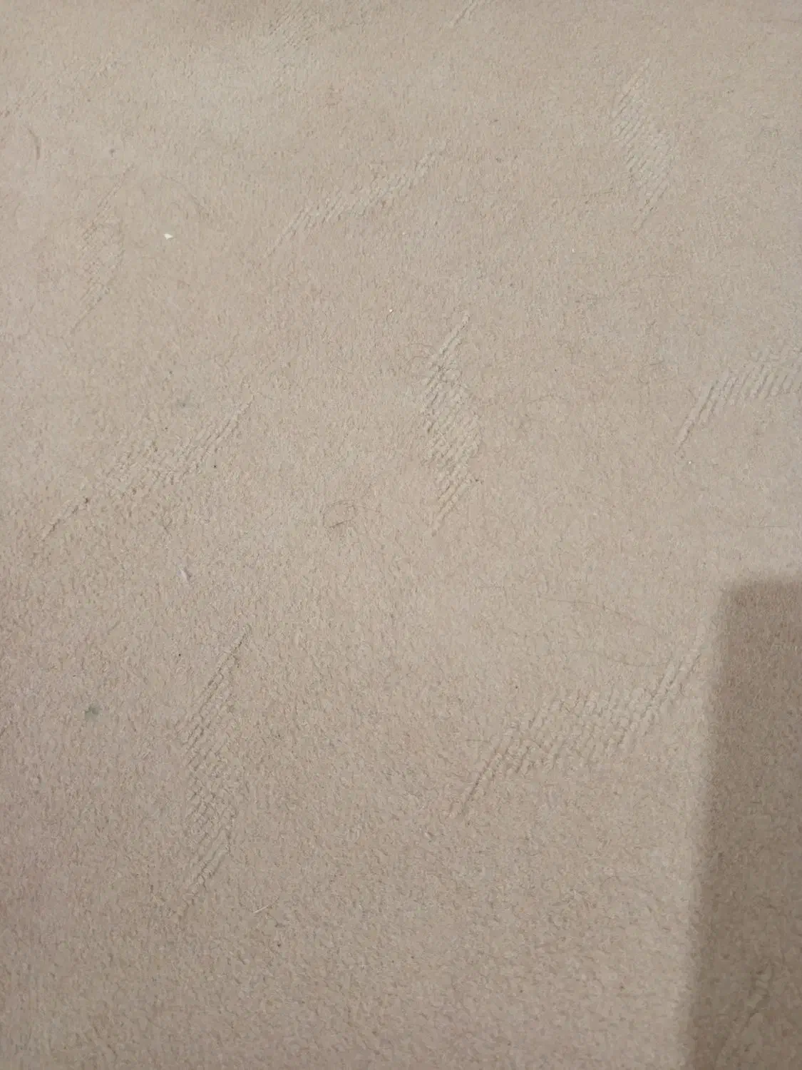 فرش موکت قالیچه|فرش|سبزوار, رضوان|دیوار