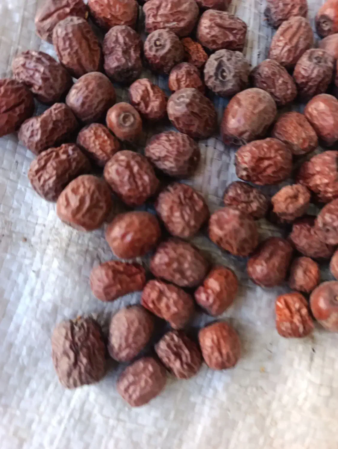 عناب دمنوشی بیرجند بلوار شعبانیه بدون خرابی دارویی|عمدهفروشی|بیرجند, |دیوار