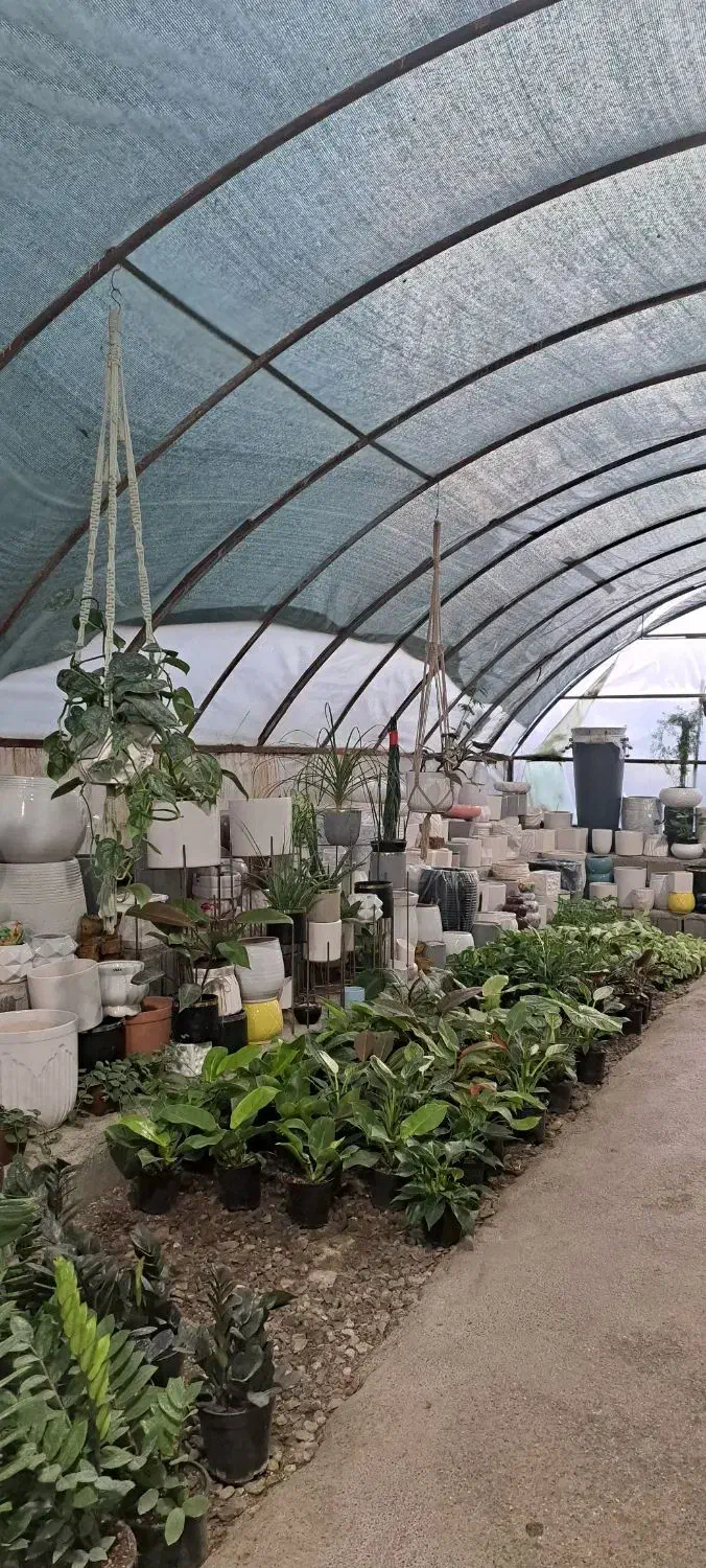 فروش گلخانه|فروشگاه و مغازه|مینودشت, |دیوار