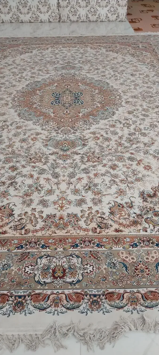 فروش فرش کرم|فرش|بوکان, |دیوار